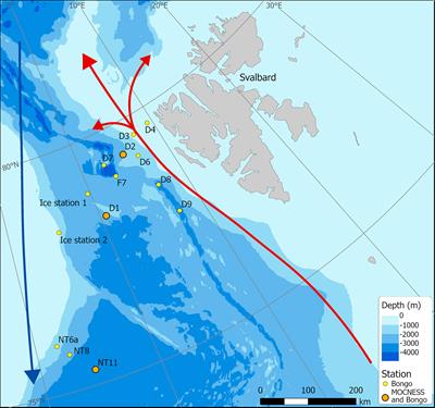 Carbon and Lipid Contents of the Copepod Calanus finmarchicus Entering Diapause in the Fram Strait and Their Contribution to the Boreal and Arctic Lipid Pump